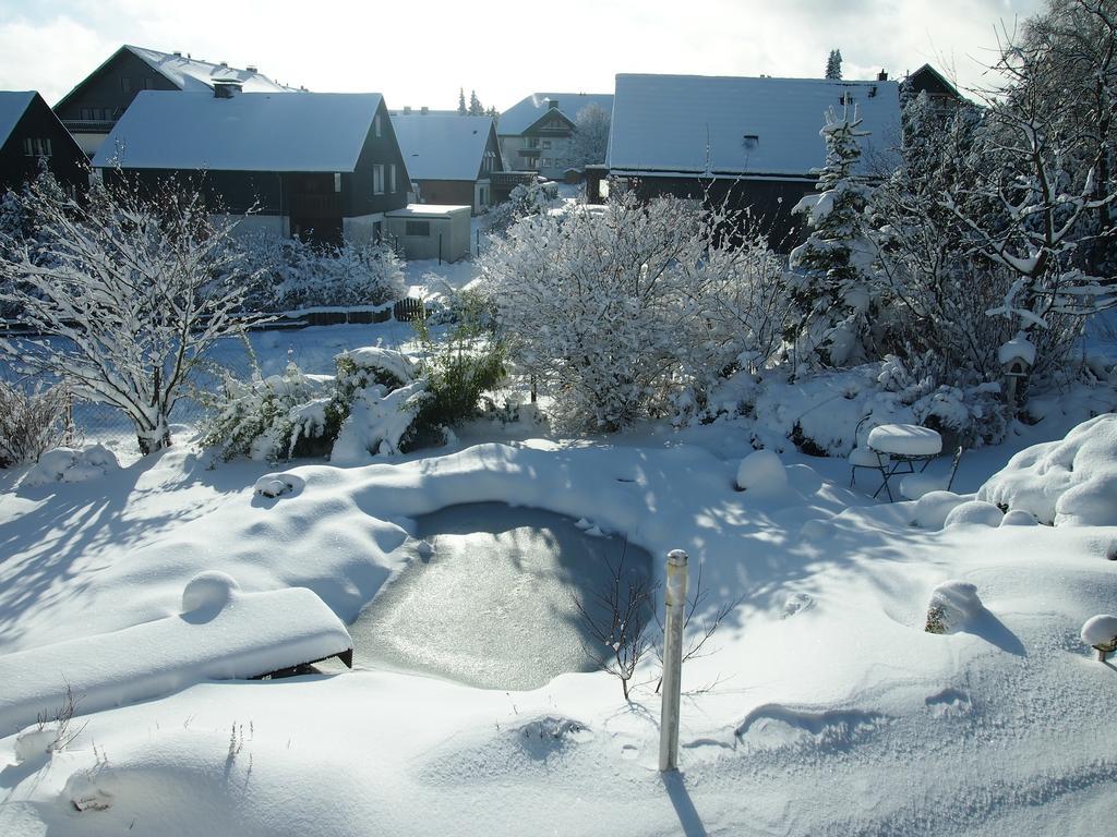 Apartment Rothaarnest Winterberg